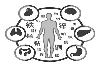 全自动91麻豆性爱在线视频厂家微量元素在人体中起到哪些作用 全自动91麻豆性爱在线视频厂家微量元素在人体中起到哪些作用