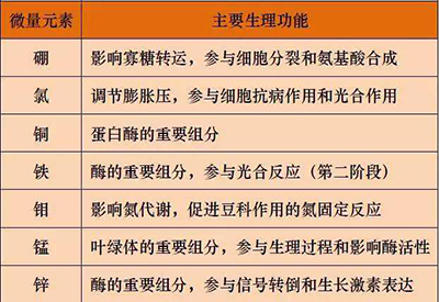 全自动91麻豆性爱在线视频厂家微量元素的对人体的生理作用 全自动91麻豆性爱在线视频厂家微量元素的对人体的生理作用