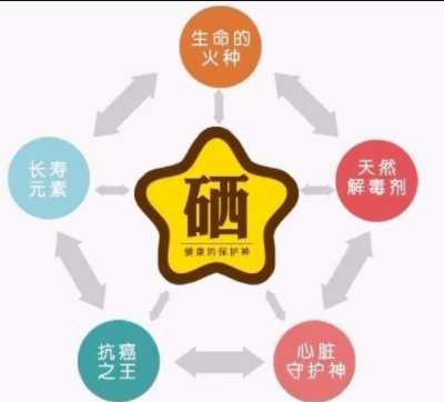 素分析仪,医用正在播放麻豆,人体微 素分析仪,医用正在播放麻豆,人体微